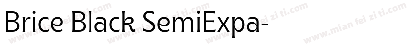 Brice Black SemiExpa字体转换